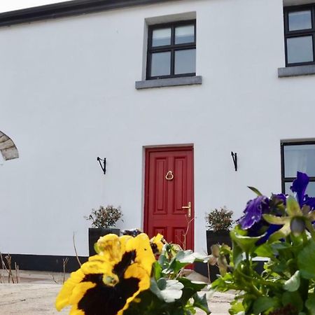 Bed and Breakfast Cartron House Ballinakill  Exterior foto