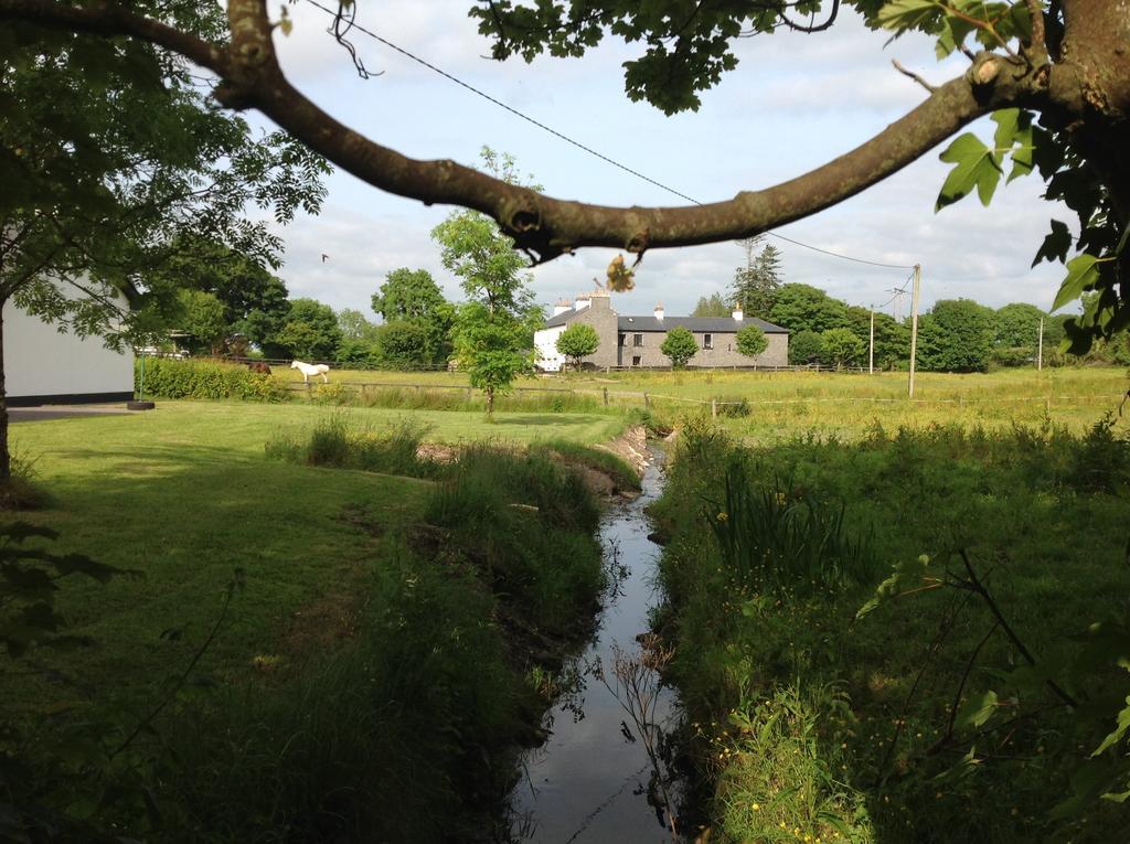 Bed and Breakfast Cartron House Ballinakill  Exterior foto