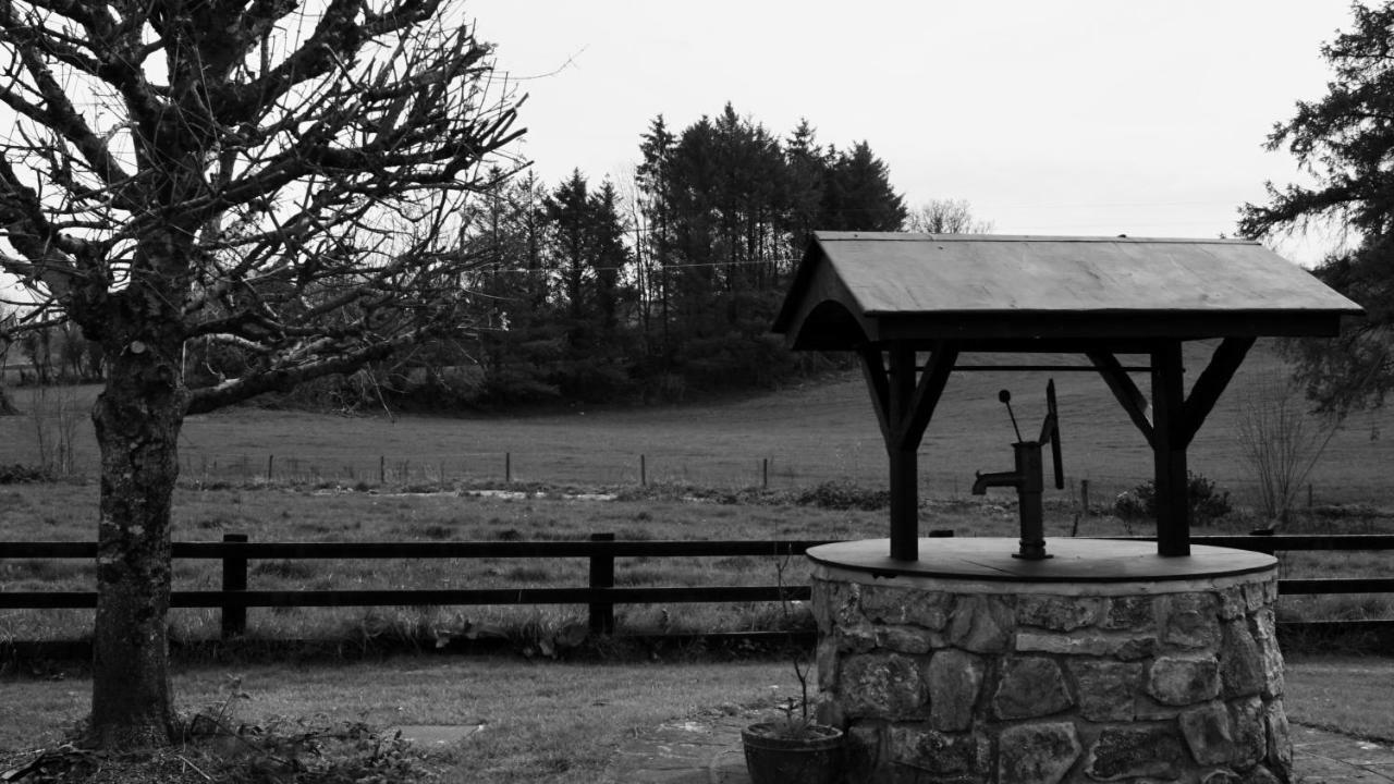 Bed and Breakfast Cartron House Ballinakill  Exterior foto