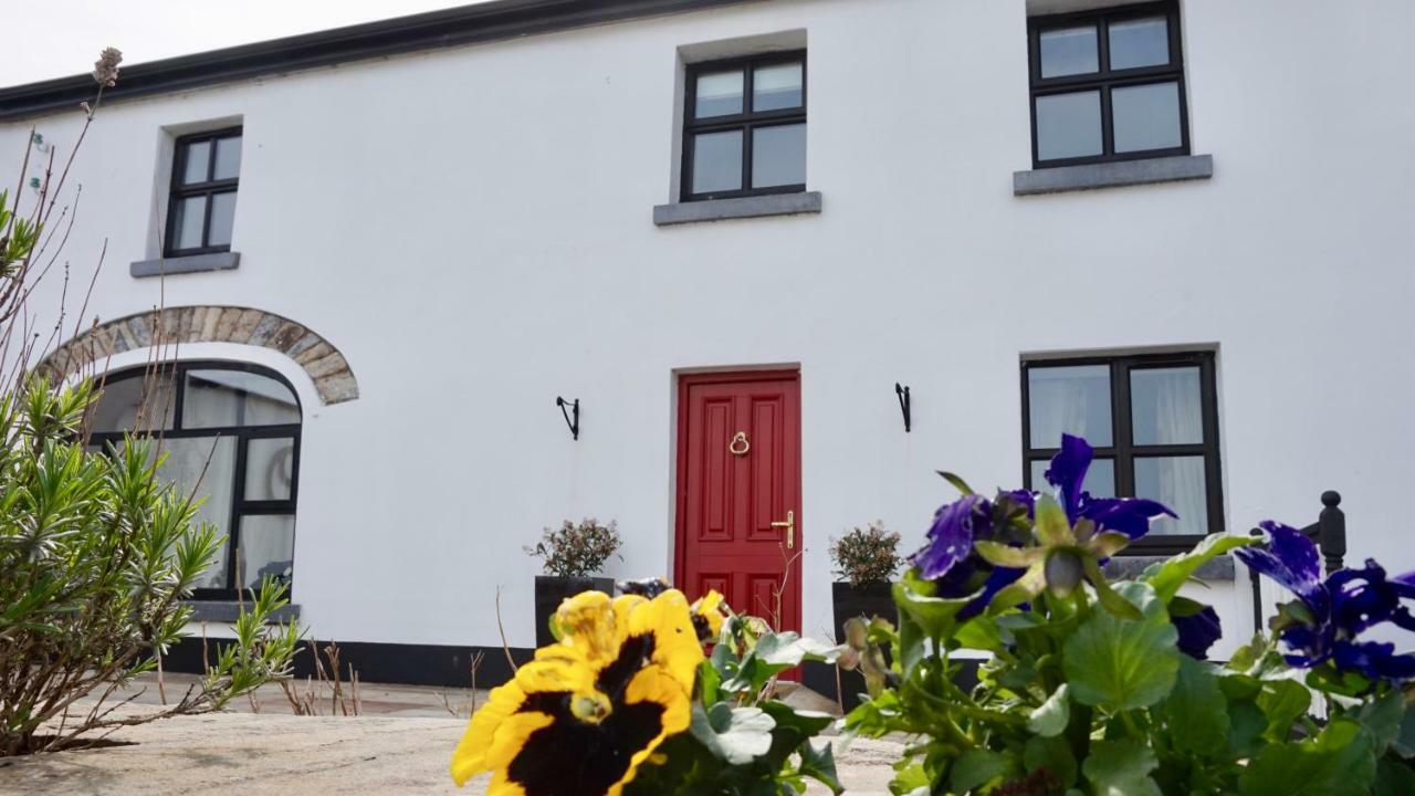 Bed and Breakfast Cartron House Ballinakill  Exterior foto