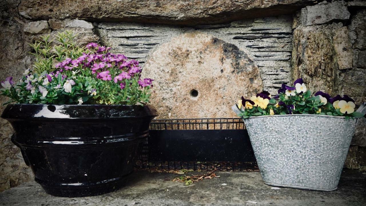 Bed and Breakfast Cartron House Ballinakill  Exterior foto