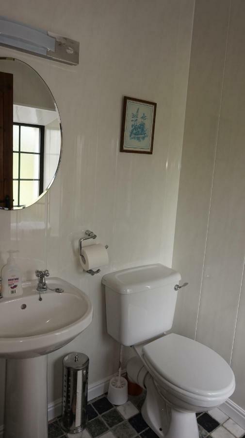 Bed and Breakfast Cartron House Ballinakill  Exterior foto